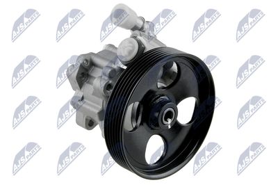 Hydraulic Pump, steering NTY SPW-CT-014
