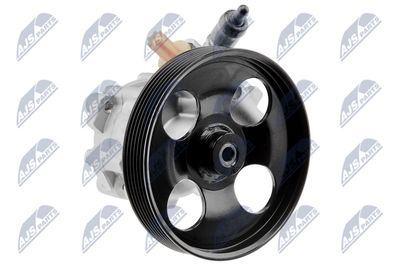 Hydraulic Pump, steering NTY SPW-CT-025