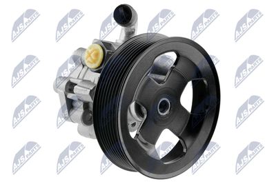 Hydraulic Pump, steering NTY SPW-LR-007