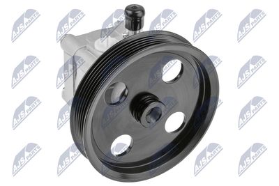 Hydraulic Pump, steering NTY SPW-VV-003