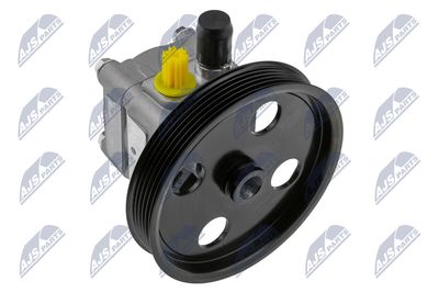 Hydraulic Pump, steering NTY SPW-VV-004