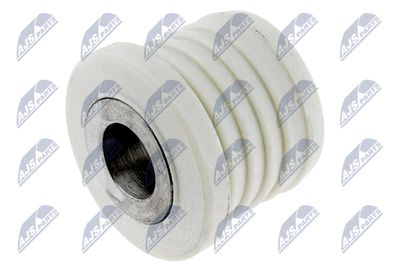 Bushing, axle beam NTY ZPS-FR-007