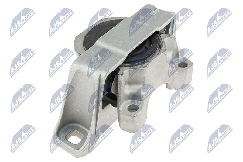 NTY ZPS-FR-021 Mounting, engine