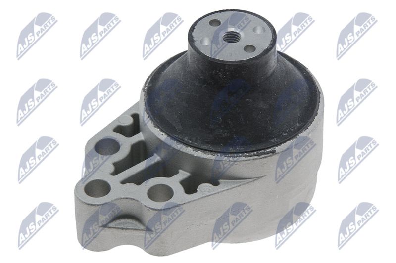 NTY ZPS-FR-028 Mounting, engine