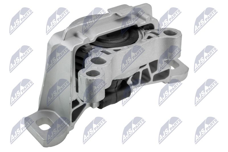NTY ZPS-FR-064 Mounting, engine