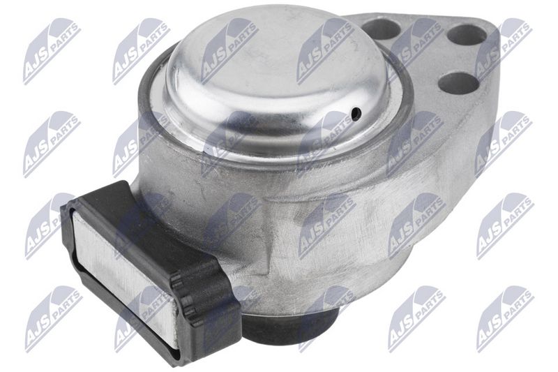NTY ZPS-FR-071 Mounting, engine