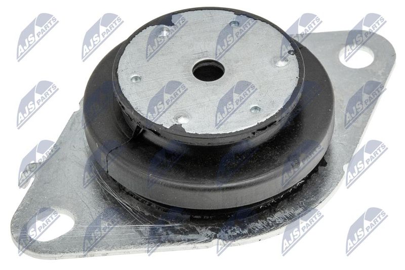 NTY ZPS-RE-061 Mounting, engine