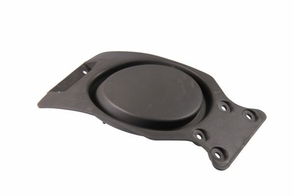 PACOL BPC-SC020R/L Eyelid, headlight