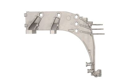Foot/Running Board PACOL DAF-FB-028R