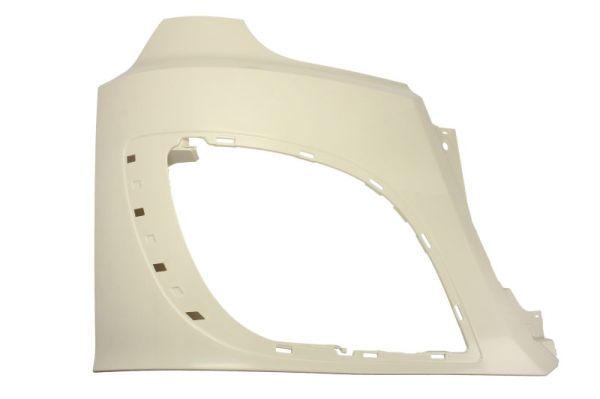 PACOL DAF-HLS-004R Housing, headlight