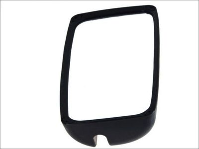 Exterior Mirror PACOL DAF-MR-007