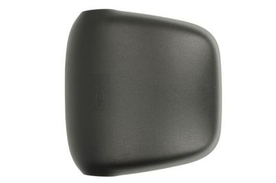 Housing, exterior mirror PACOL DAF-MR-035