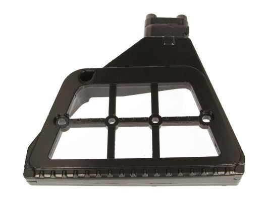 PACOL DAF-SB-003R Foot/Running Board