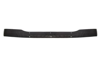 Sun Visor PACOL DAF-UP-010
