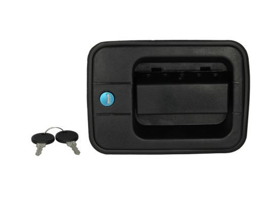 PACOL IVE-DH-001L Exterior Door Handle