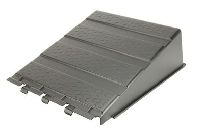 Wind Deflector PACOL MAN-BC-003