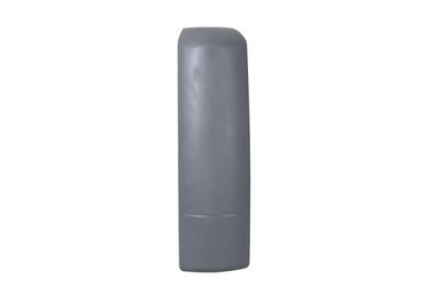 Wind Deflector PACOL MAN-CP-006L