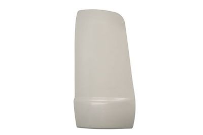 Wind Deflector PACOL MAN-CP-019R