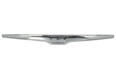 Radiator Grille PACOL MAN-CP-027