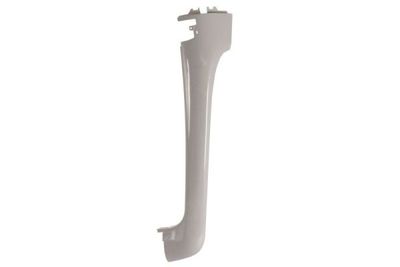 Wind Deflector PACOL MAN-CP-034L