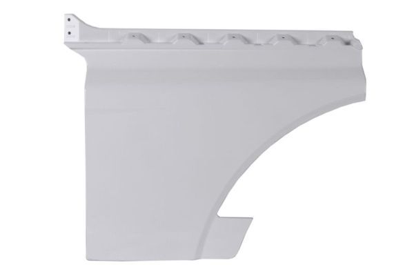 PACOL MAN-DE-001L Door, body