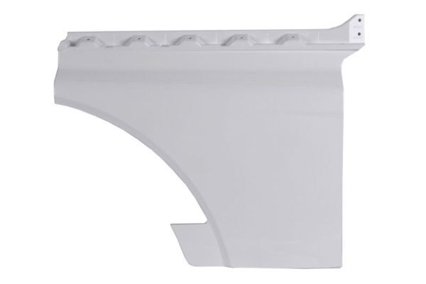 PACOL MAN-DE-001R Door, body