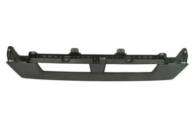 Radiator Grille PACOL MAN-FP-035