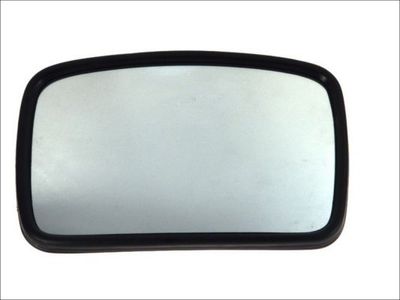 Exterior Mirror PACOL MAN-MR-004
