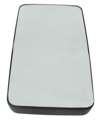 Exterior Mirror PACOL MAN-MR-034