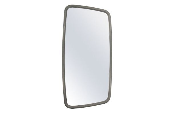 PACOL MAN-MR-048L Exterior Mirror