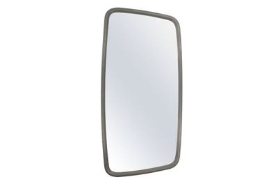 Exterior Mirror PACOL MAN-MR-048L