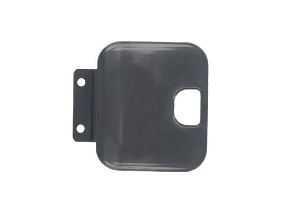 PACOL MAN-SP-013 Foot/Running Board