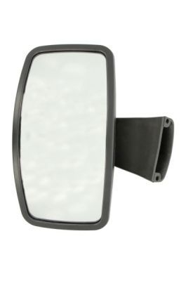 Exterior Mirror PACOL MER-MR-037