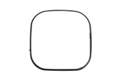 Exterior Mirror PACOL MER-MR-041