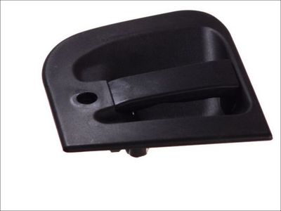 Exterior Door Handle PACOL RVI-DH-001R
