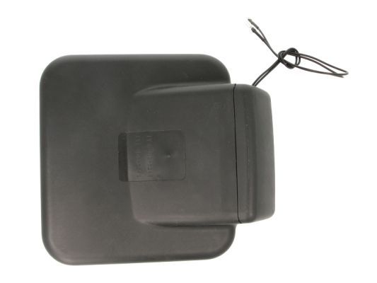PACOL RVI-MR-010 Exterior Mirror