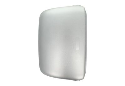 Housing, exterior mirror PACOL RVI-MR-012