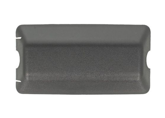 PACOL RVI-MR-016 Cover, exterior mirror