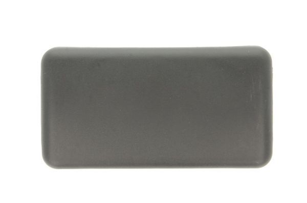 PACOL RVI-MR-017 Cover, exterior mirror
