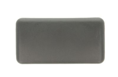 Cover, exterior mirror PACOL RVI-MR-017