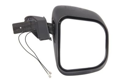 Exterior Mirror PACOL SCA-MR-004R
