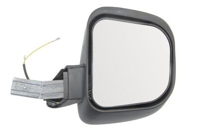 Exterior Mirror PACOL SCA-MR-006
