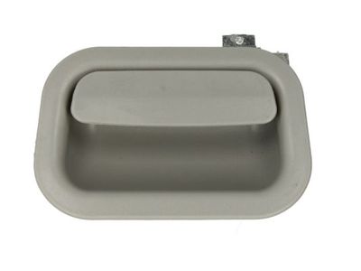 Grab Handle, interior equipment PACOL VOL-DH-004