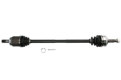 Drive Shaft PASCAL G21008PC