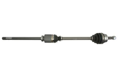 Drive Shaft PASCAL G21010PC