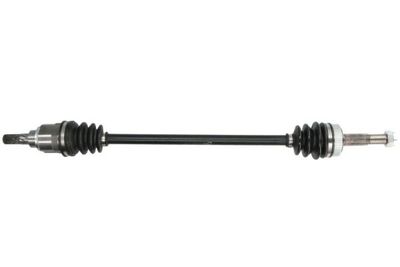 Drive Shaft PASCAL G21034PC
