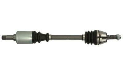 Drive Shaft PASCAL G2C003PC