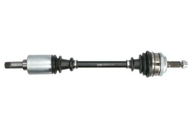 Drive Shaft PASCAL G2C007PC