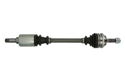 Drive Shaft PASCAL G2C029PC