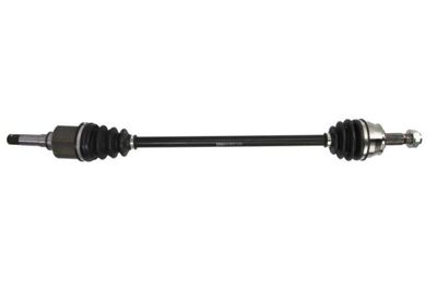 Drive Shaft PASCAL G2C097PC